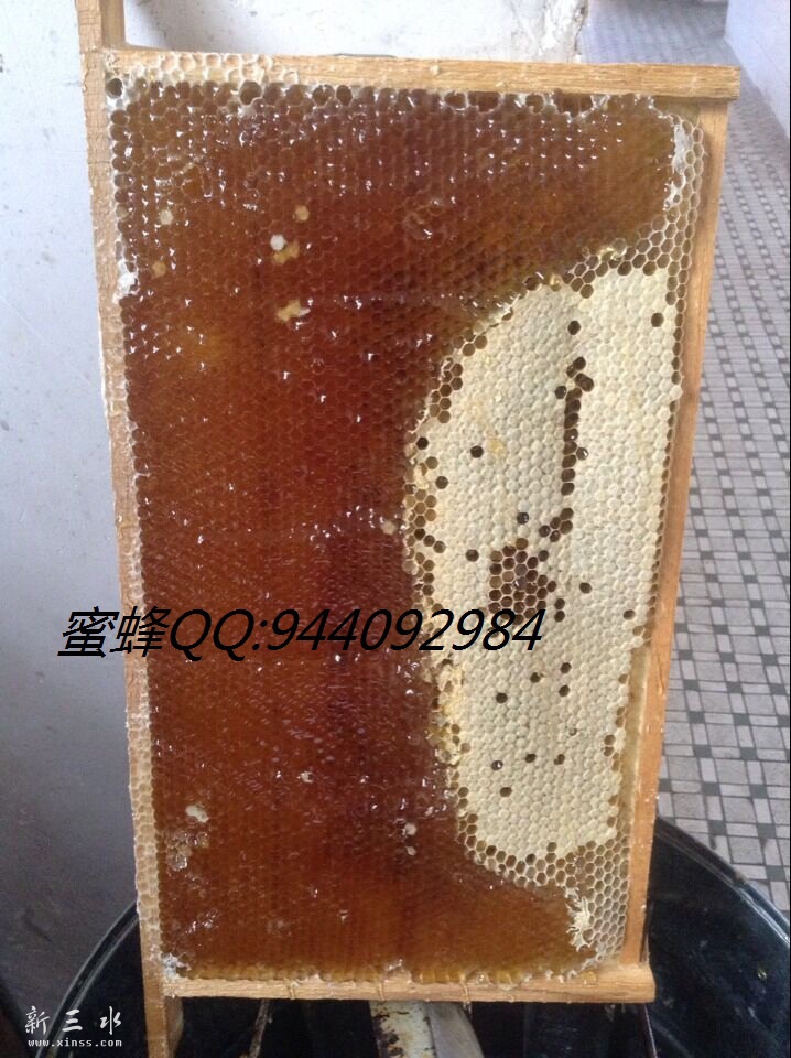 QQ图片20150927171649.jpg