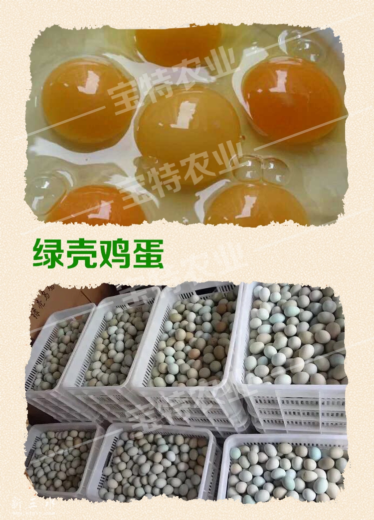 有机健康食品
