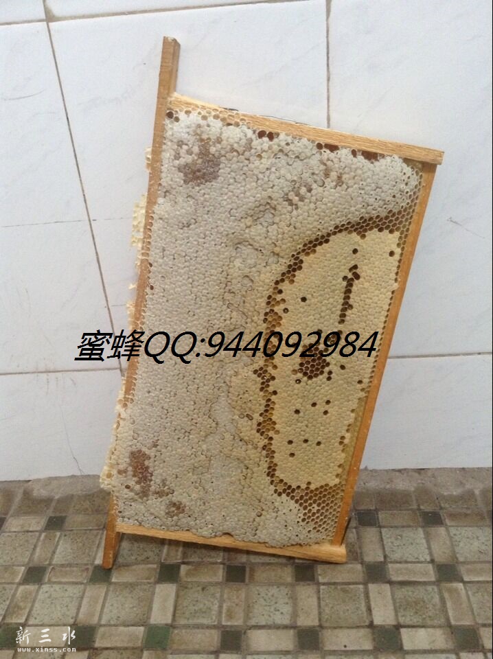QQ图片20150927171711.jpg