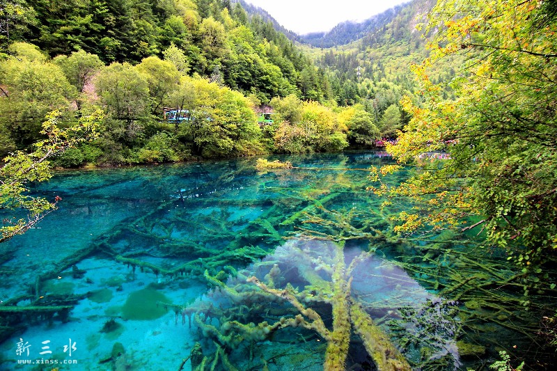 IMG_4585_鍓?湰.jpg