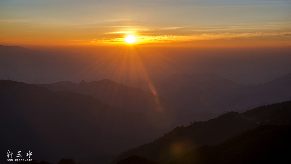 DSC_6531-1.jpg