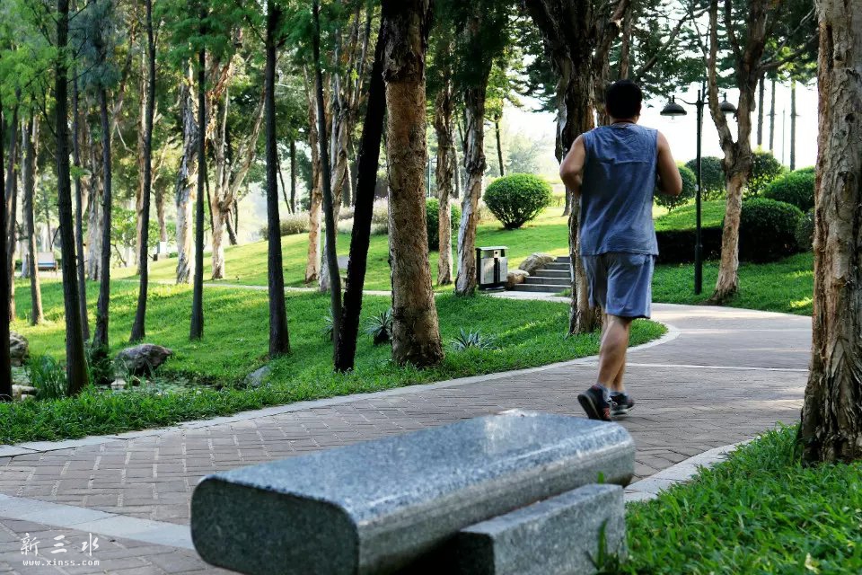 P7.jpg