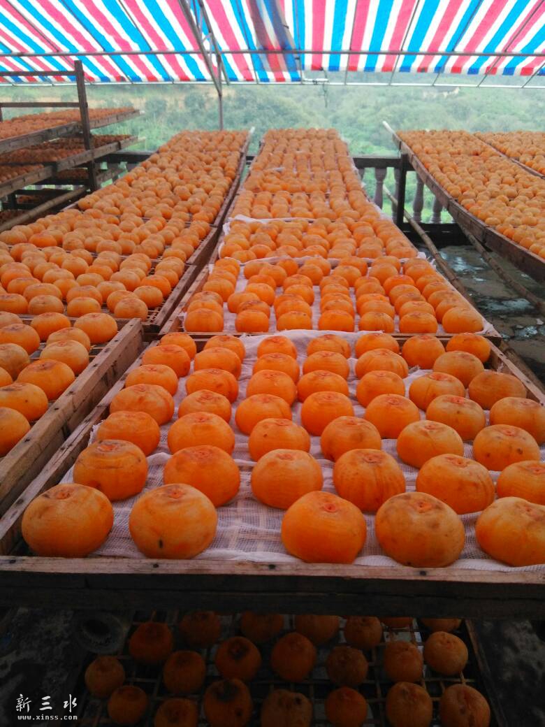 004532mtunpnkpnbrio8dp.jpg