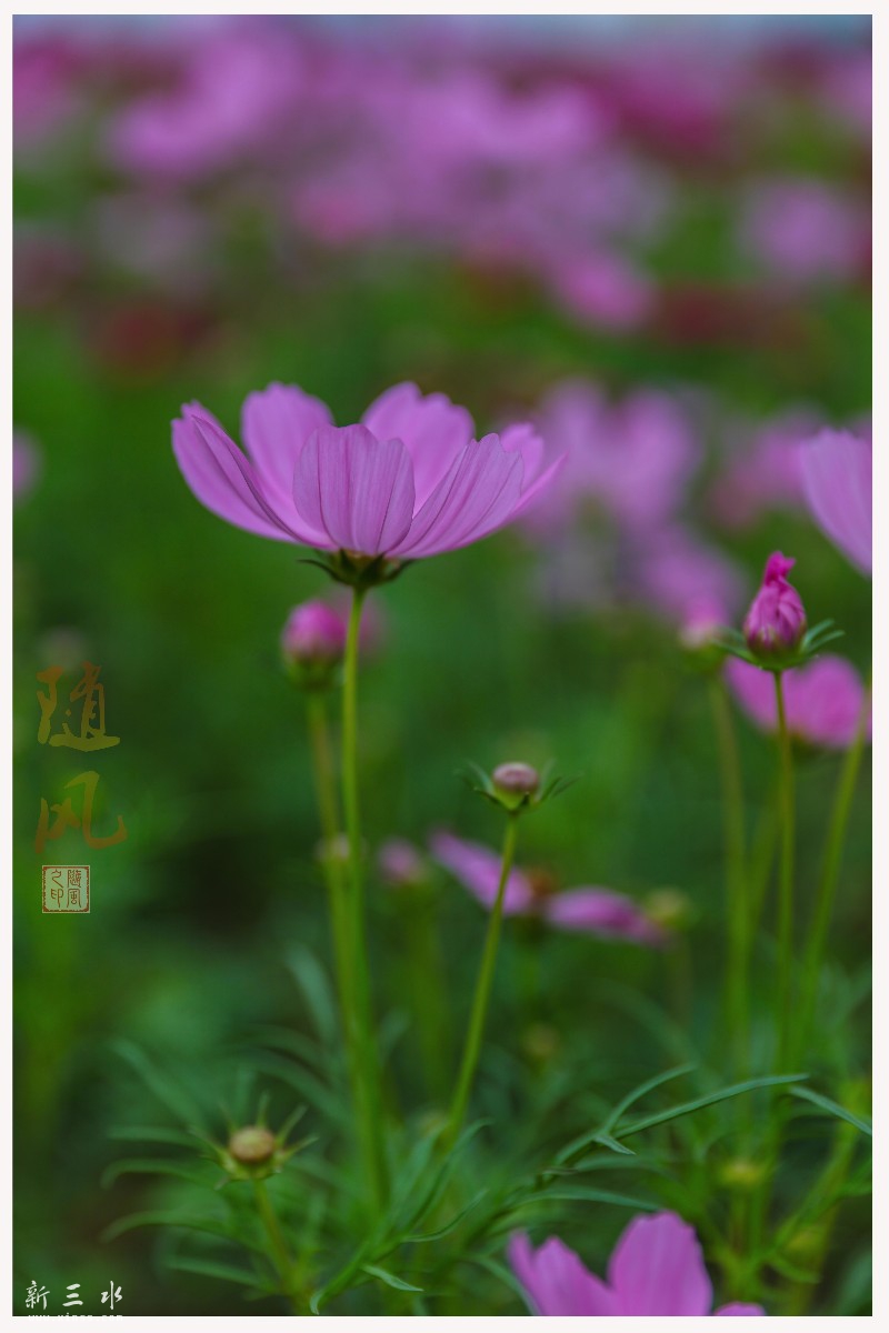 3O8A0189.jpg
