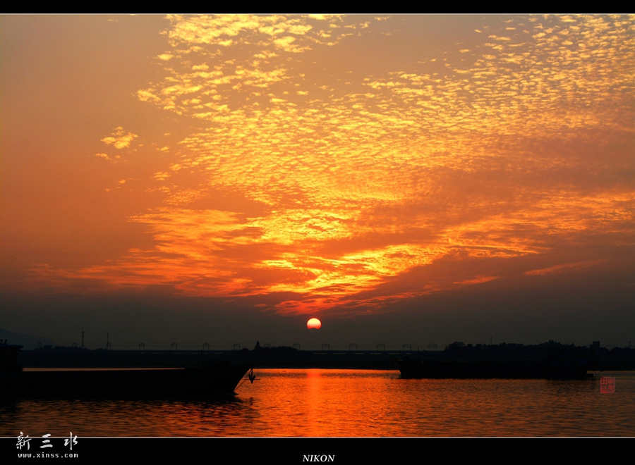 DSC_2545_副本_副本.jpg