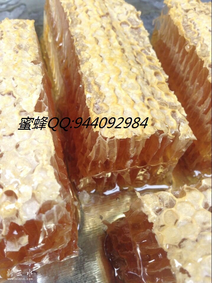 QQ图片20151107204043.jpg