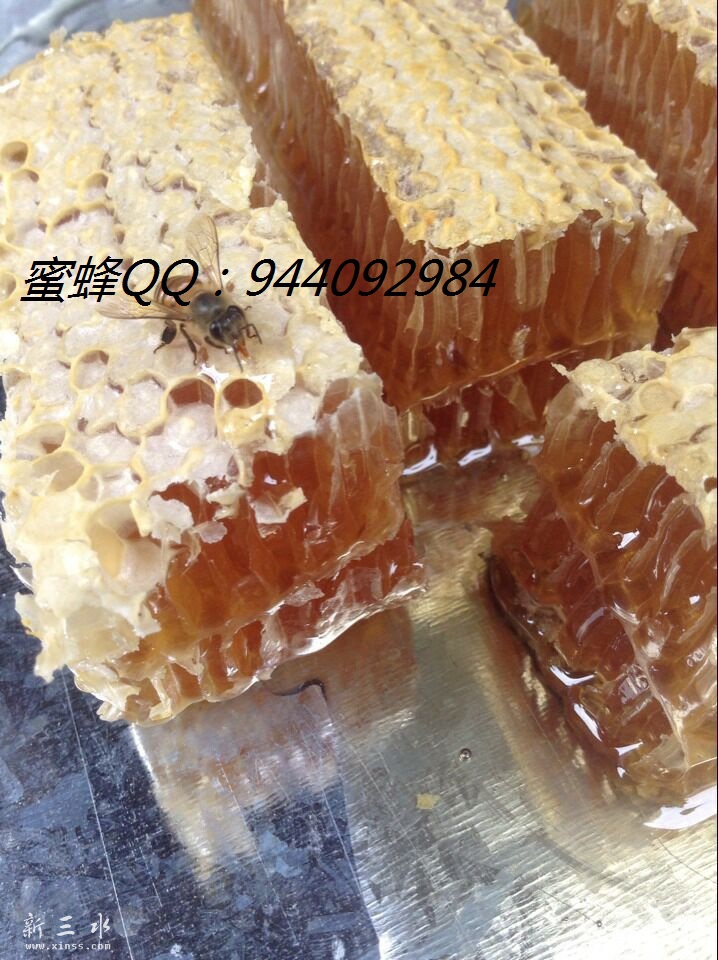 QQ图片20151107204101.jpg