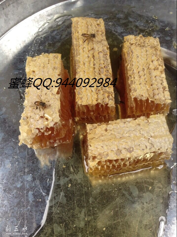 QQ图片20151107204114.jpg