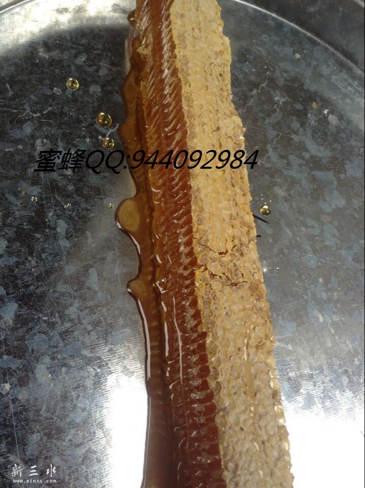 QQ图片20151107204121.jpg
