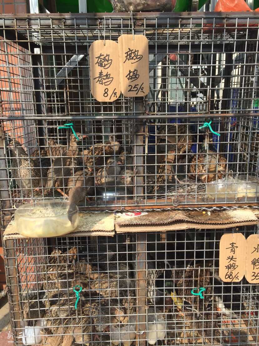 秋冬野味