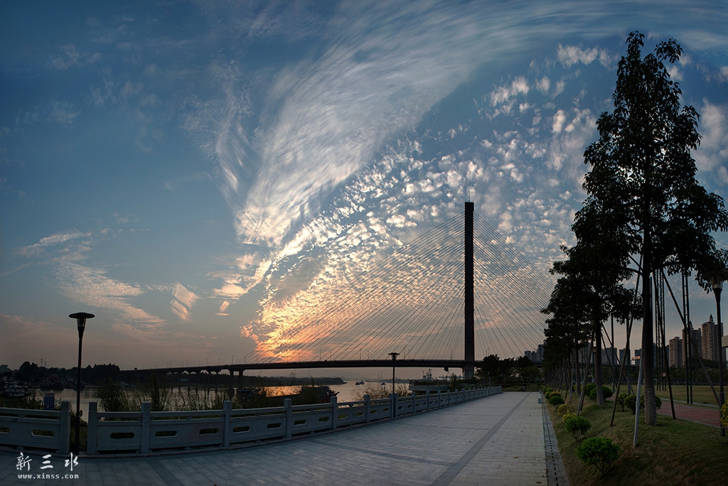 DSC_5734.jpg