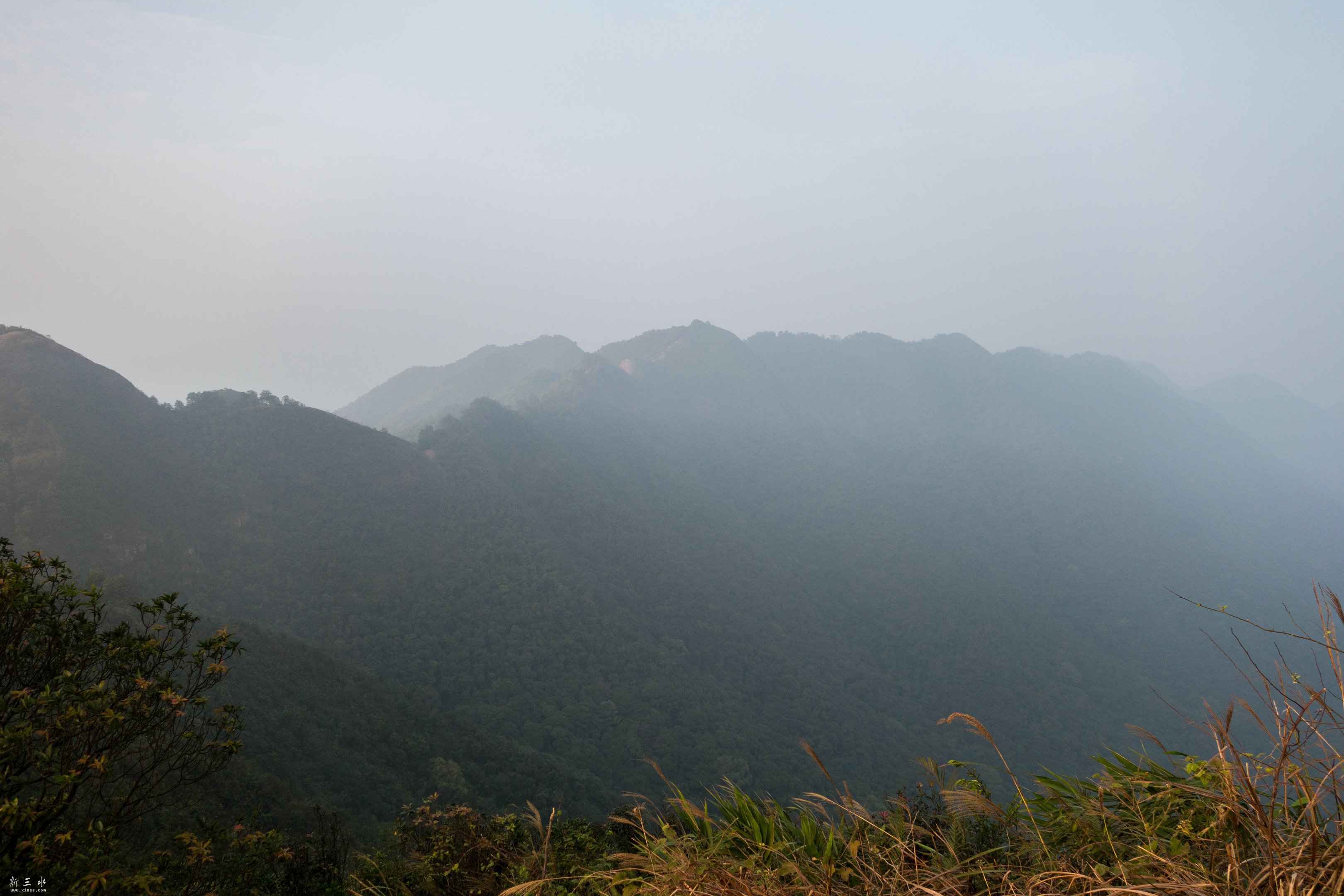 DSC04801.jpg