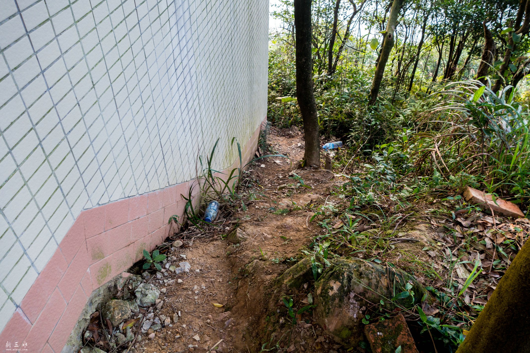 DSC04805.jpg
