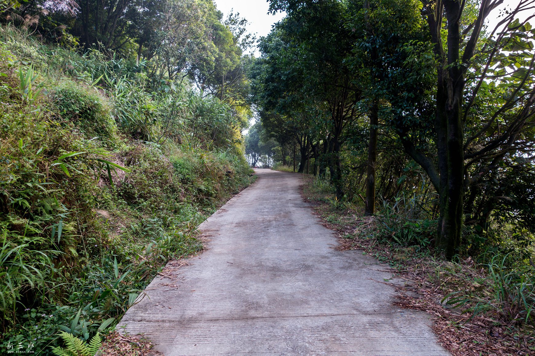 DSC04808.jpg