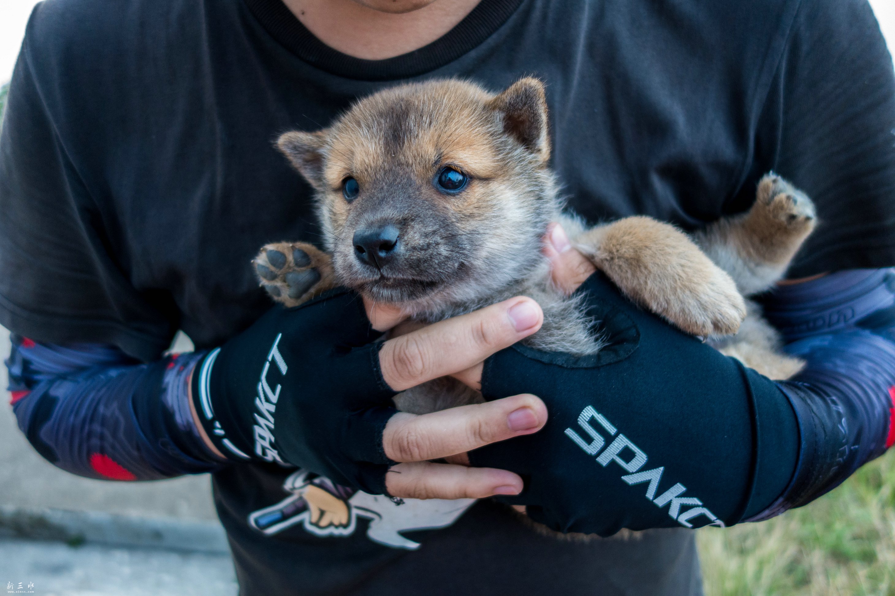 DSC04855.jpg