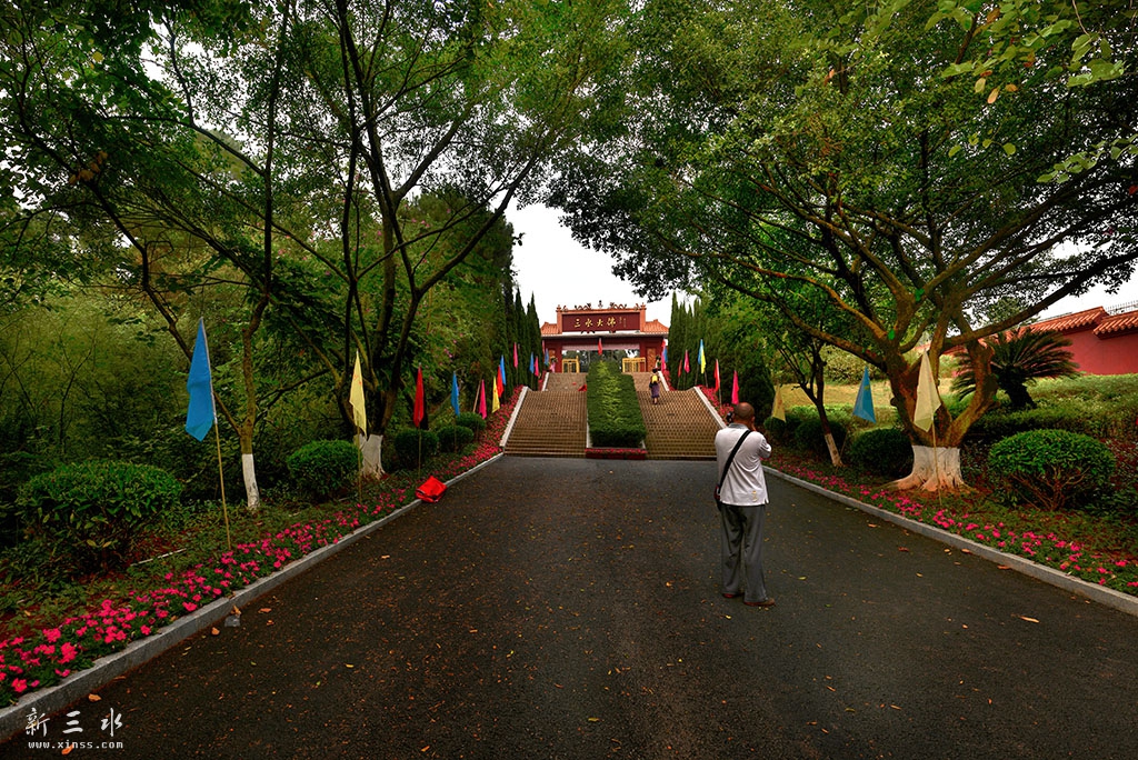 DSC_1435A.jpg