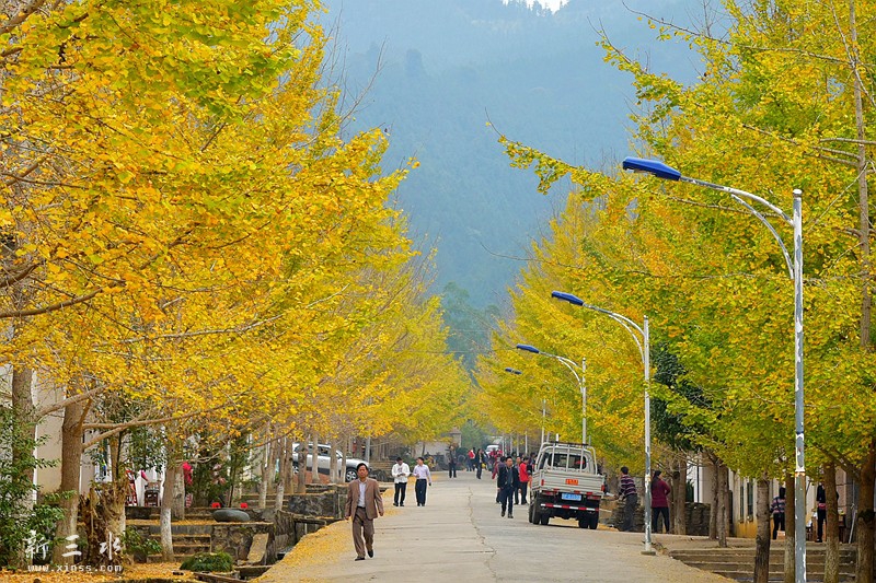 鍗楅泟娓