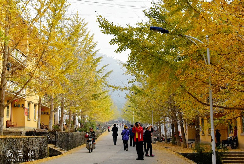 鍗楅泟娓