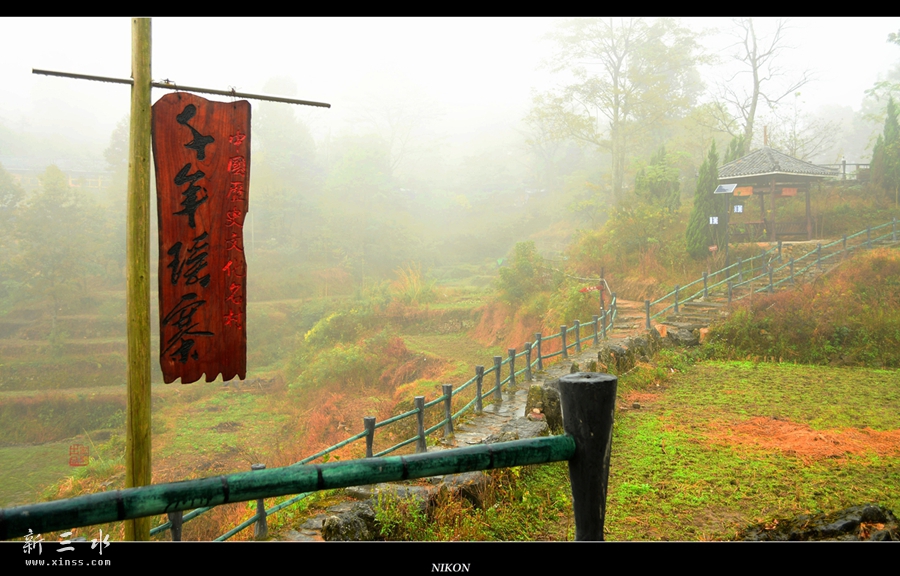 DSC_2666_副本_副本.jpg