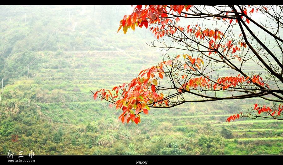 DSC_2714_副本_副本.jpg