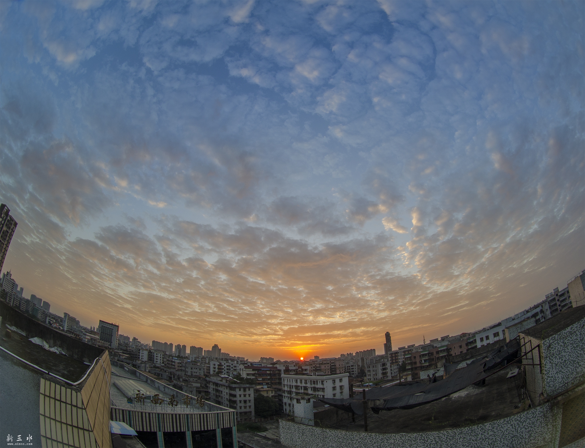 DSC_4753.jpg