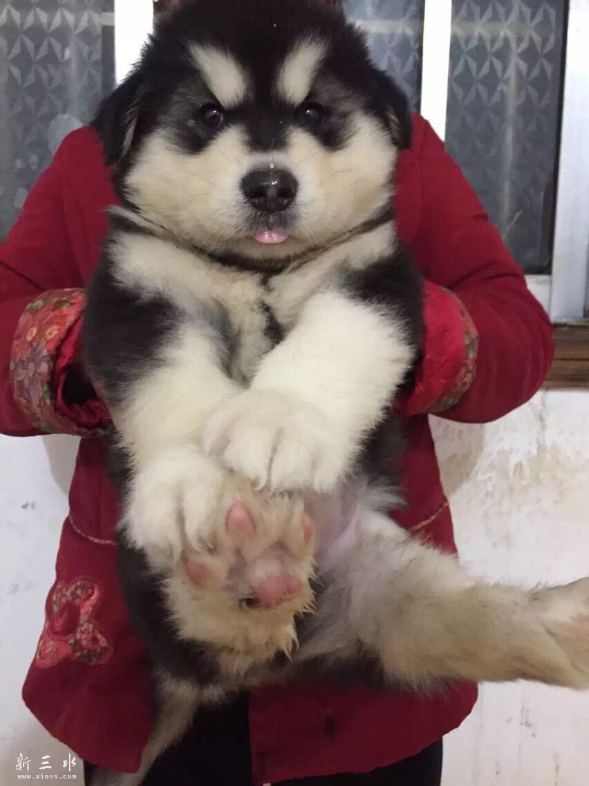 QQ图片20151129190503.jpg