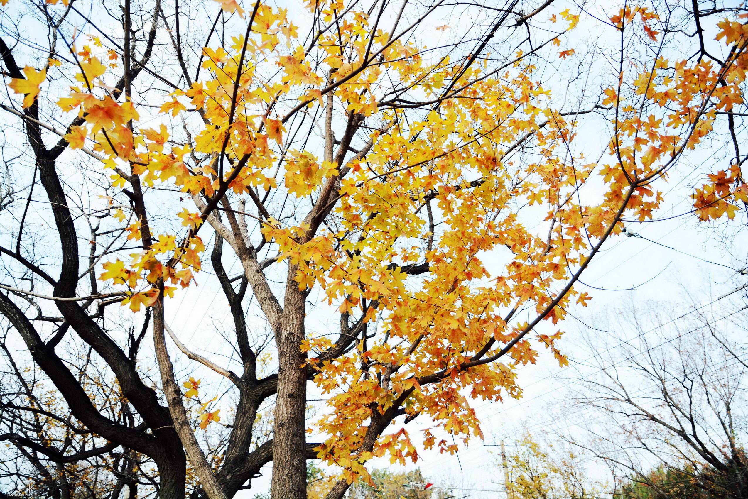DSC_2051.JPG