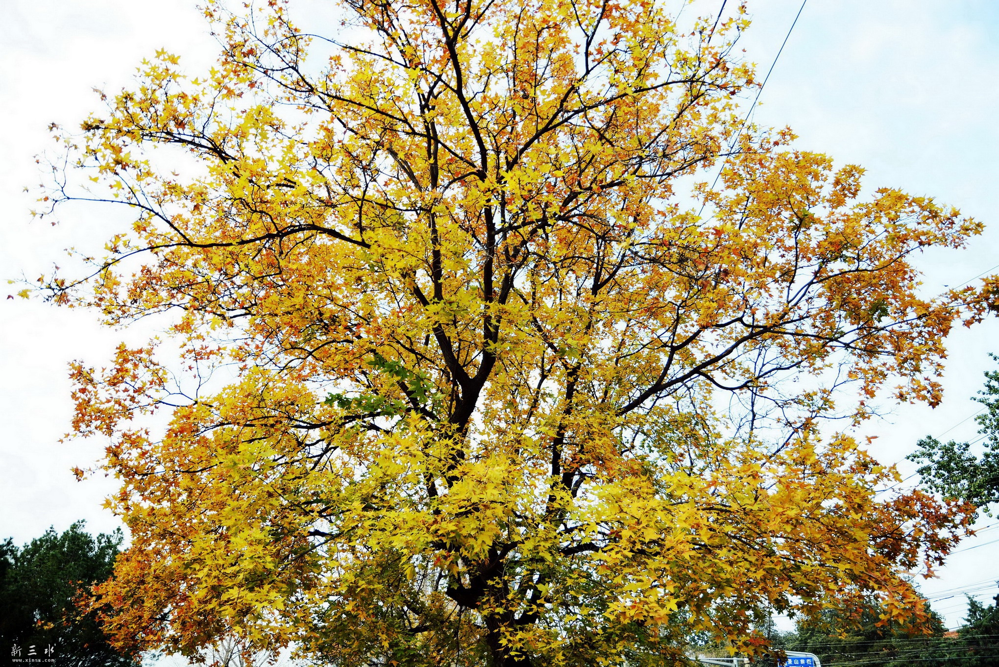 DSC_2054.JPG
