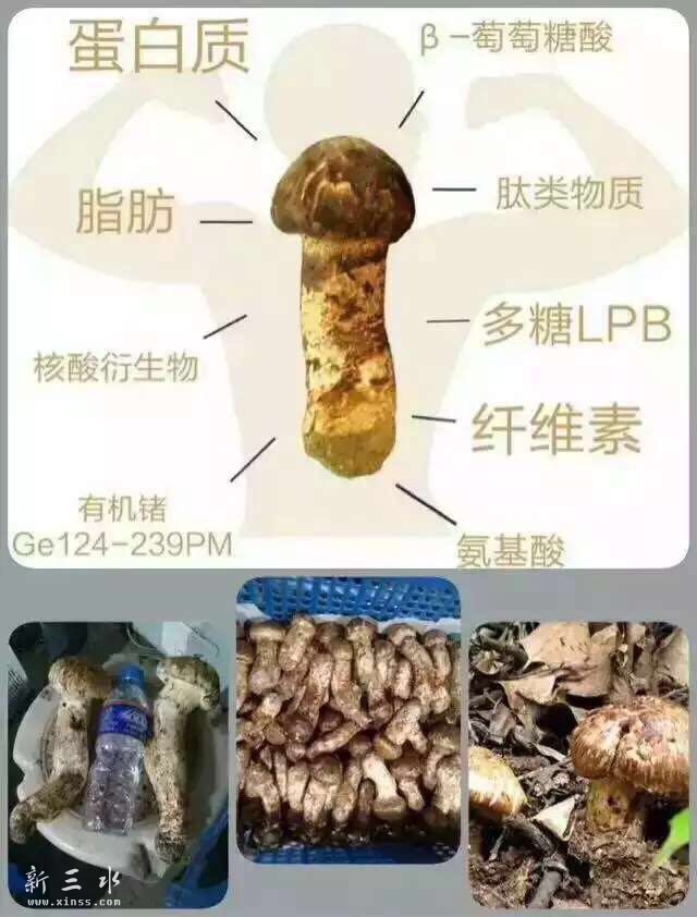 image.jpg