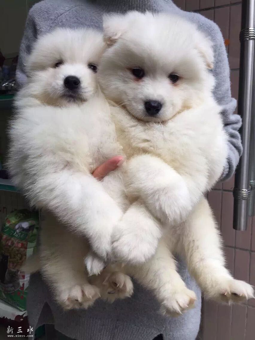 QQ图片20151229174128.jpg