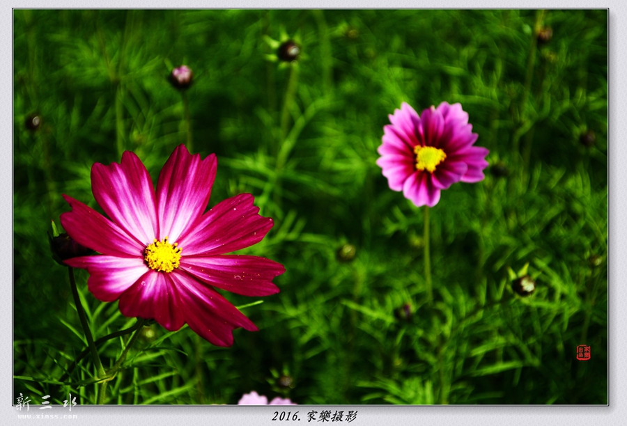 DSC_3249_副本_副本.jpg