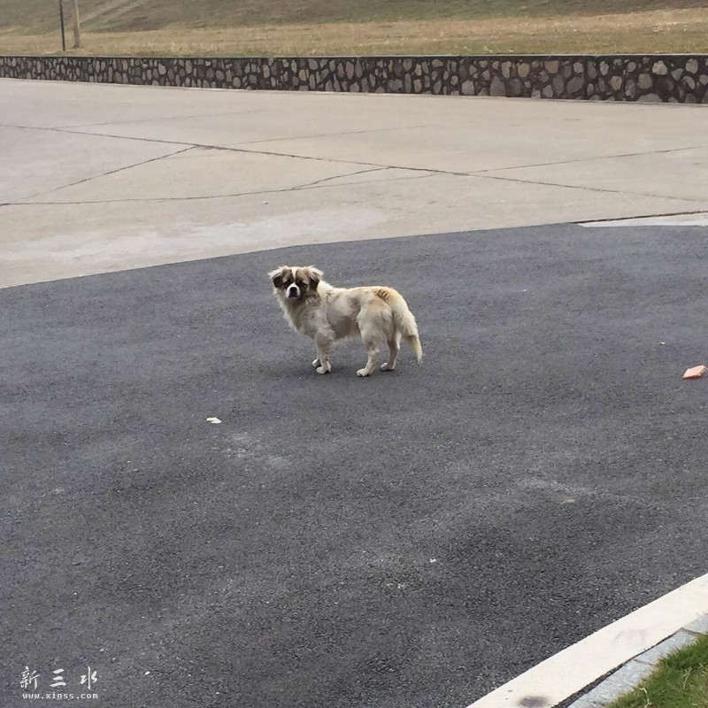 QQ鍥剧墖20160105162126.jpg