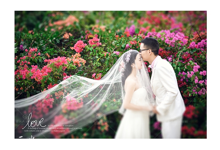 花海婚纱照