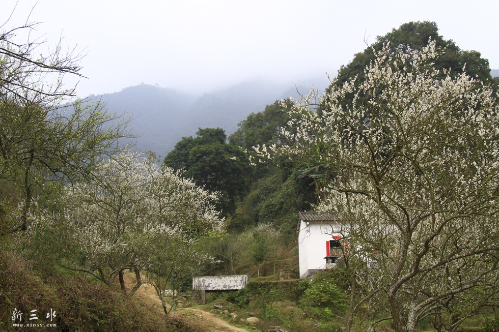 _MG_0785.JPG