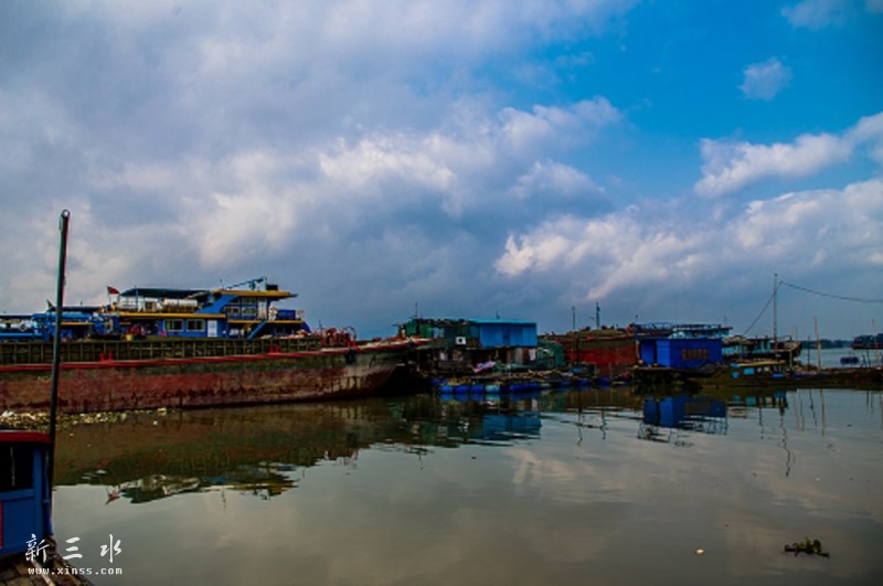 IMGP0336-1.jpg