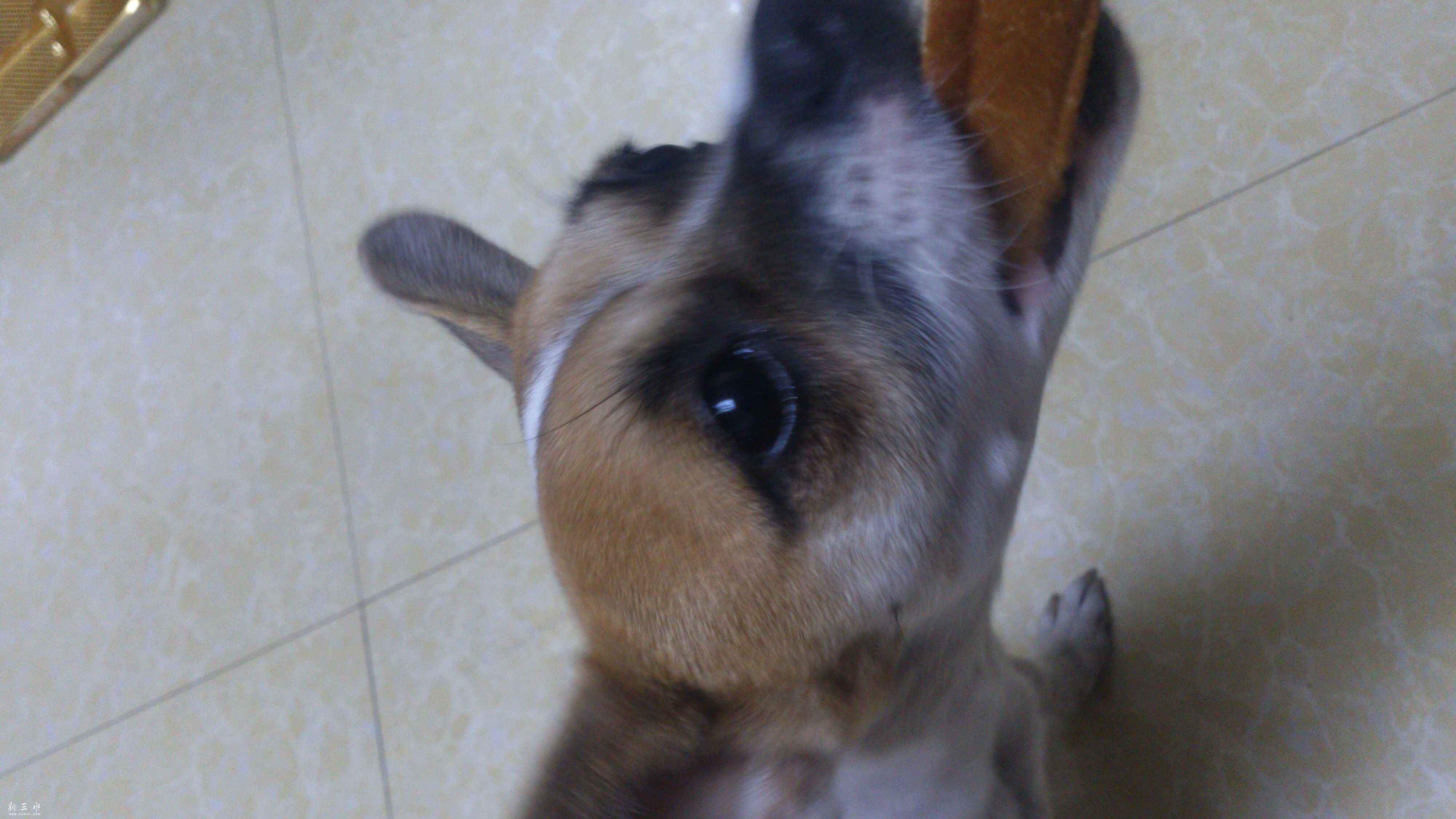 QQ图片20160229153422.jpg