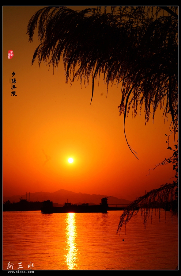 DSC_4094_副本_副本.jpg