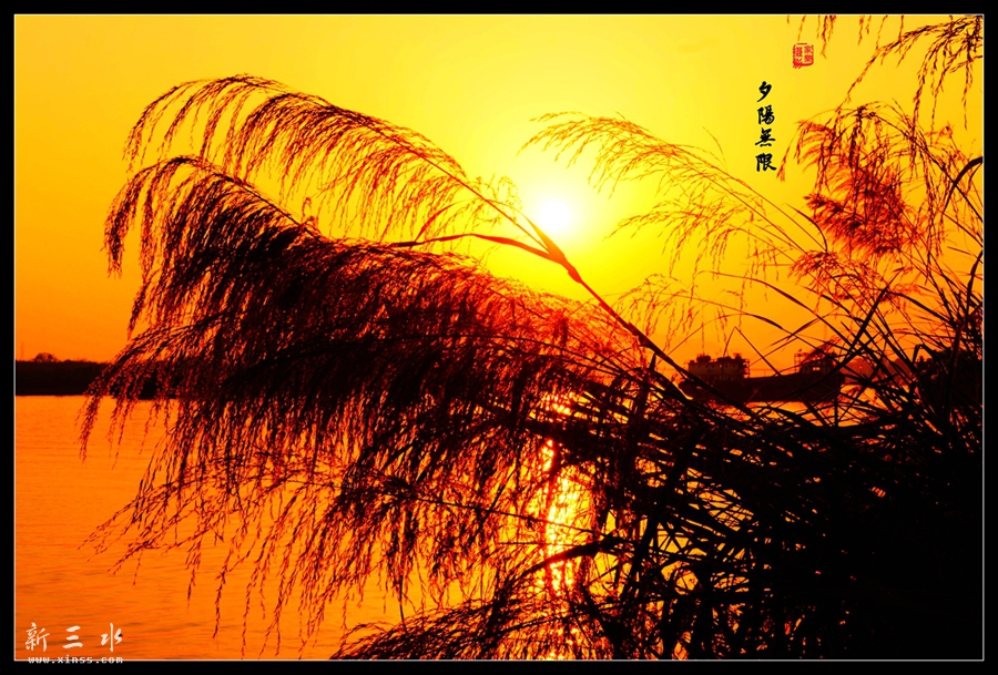 DSC_4095_副本_副本.jpg