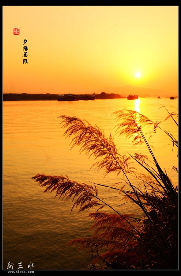 DSC_4103_副本_副本.jpg