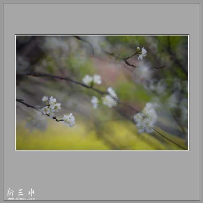 鏄ユ孩100111.jpg