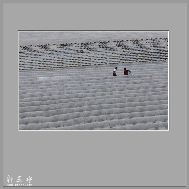 鍚堜綔0000.jpg