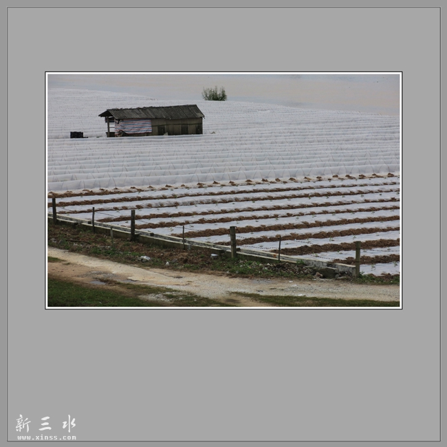 灏奸緳瑗跨摐0000.jpg