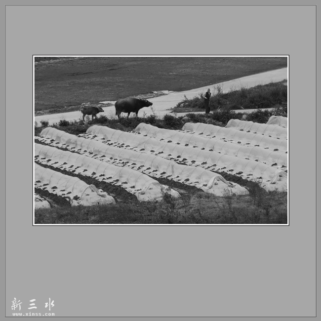 鐗电墰鍥炲?0000.jpg