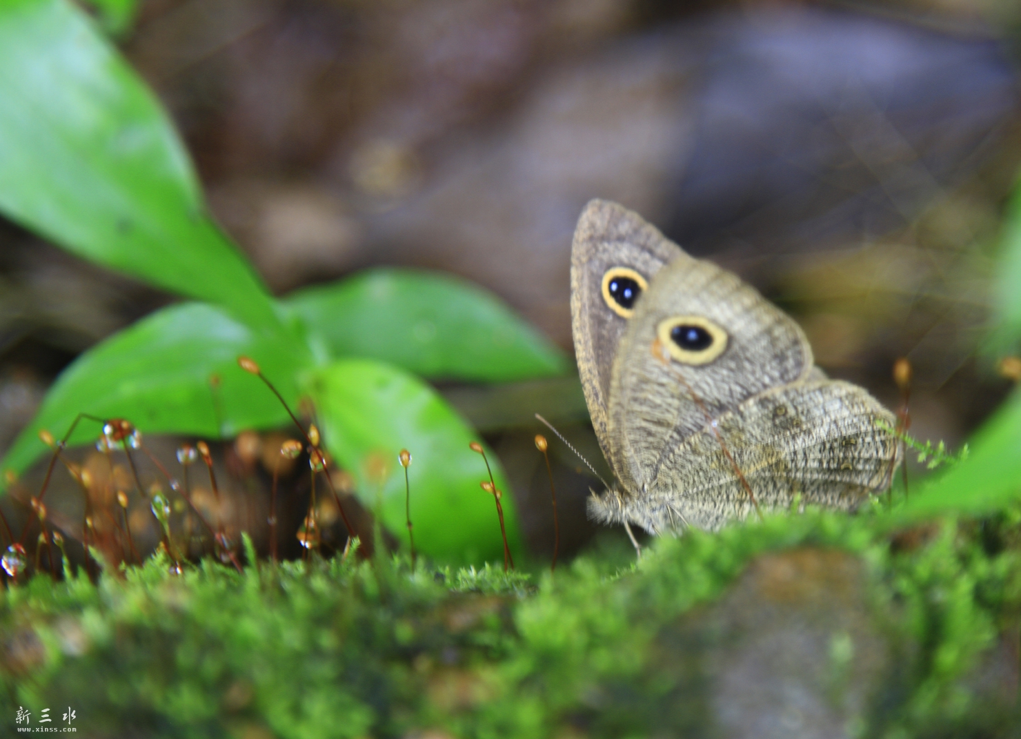 _MG_6086.JPG