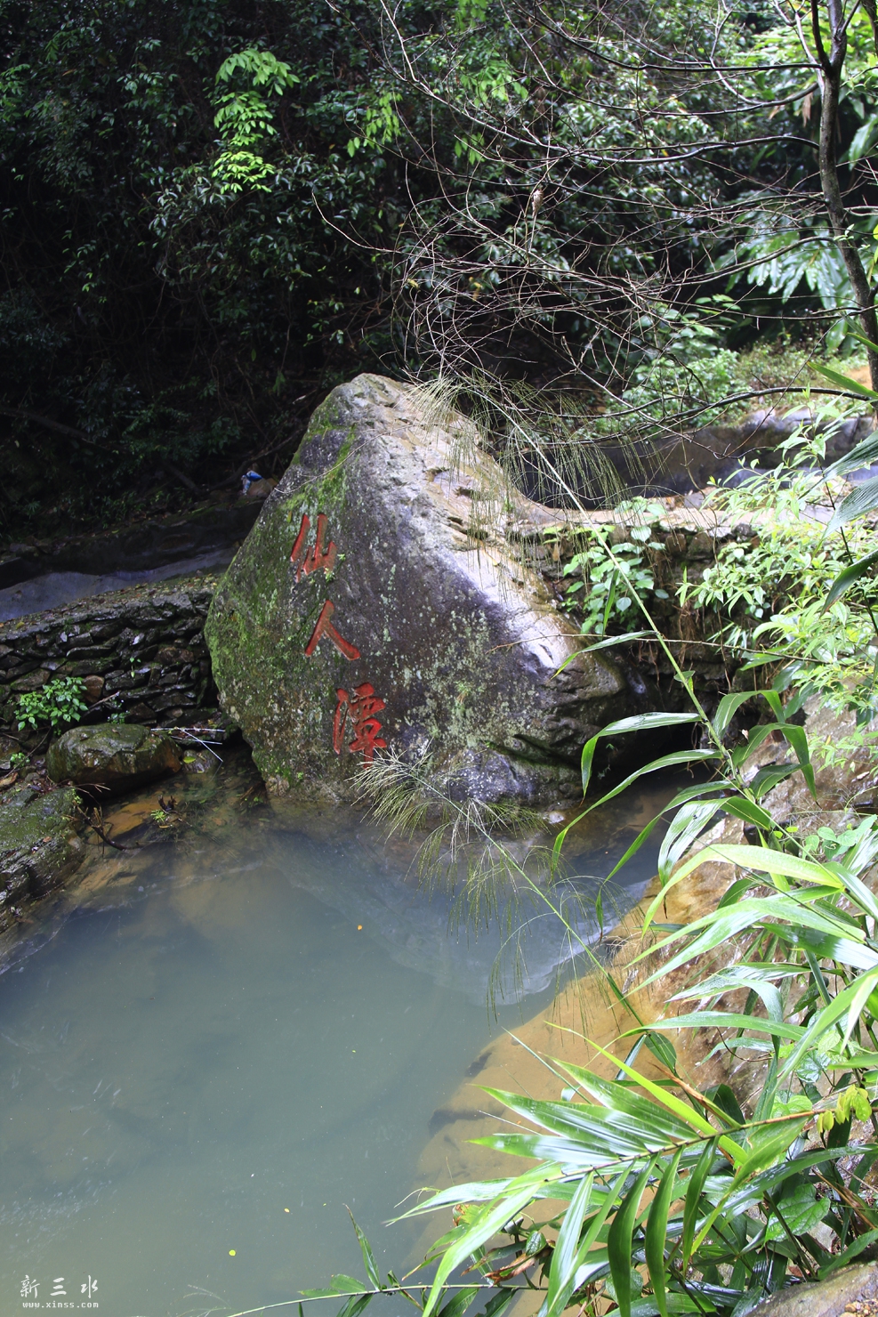 _MG_6020.JPG