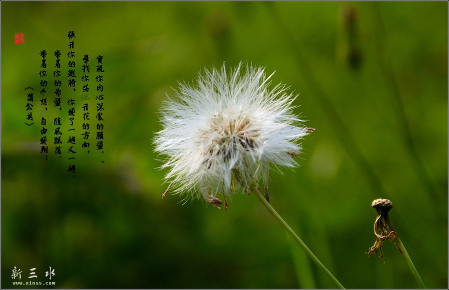 DSC_4615_副本_副本.jpg