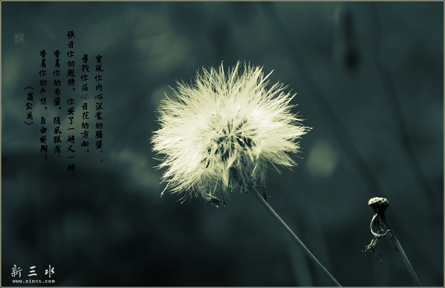 DSC_4615_副本_副本_副本.jpg