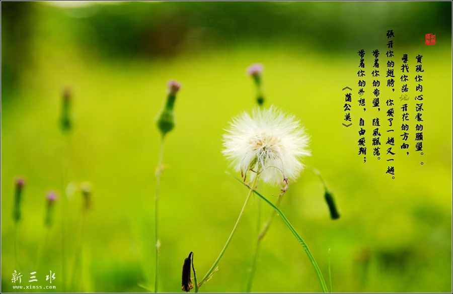 DSC_4619_副本_副本.jpg