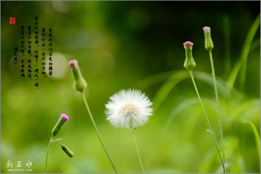 DSC_4622_副本_副本.jpg