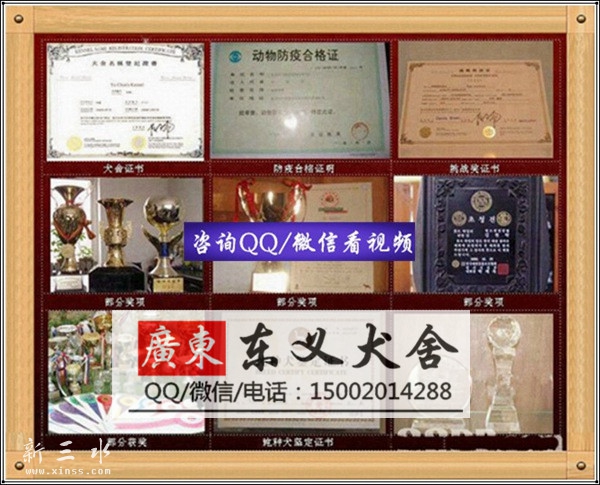 繁殖场3.jpg